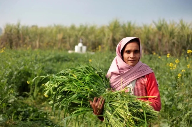 Rural Women Entrepreneurs Take Centre Stage At NABARD's Grameen Bharat Mahotsav